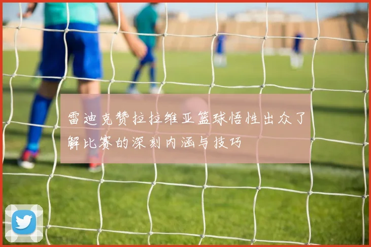 雷迪克赞拉拉维亚篮球悟性出众了解比赛的深刻内涵与技巧