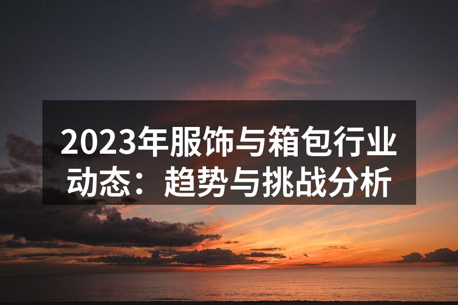 2023年服饰市场分析图
